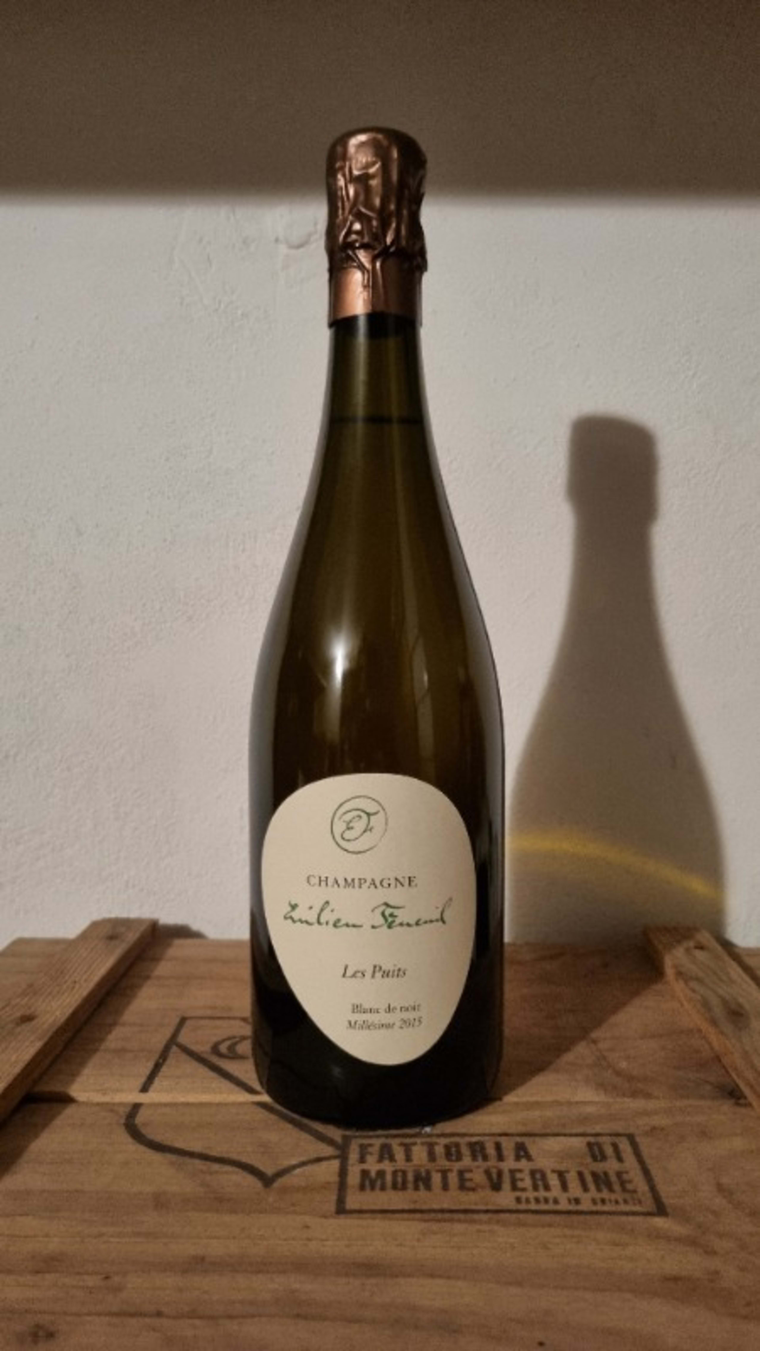 Les Puits - Blanc de Noir, Emilien Feneuil, Champagne, 2015