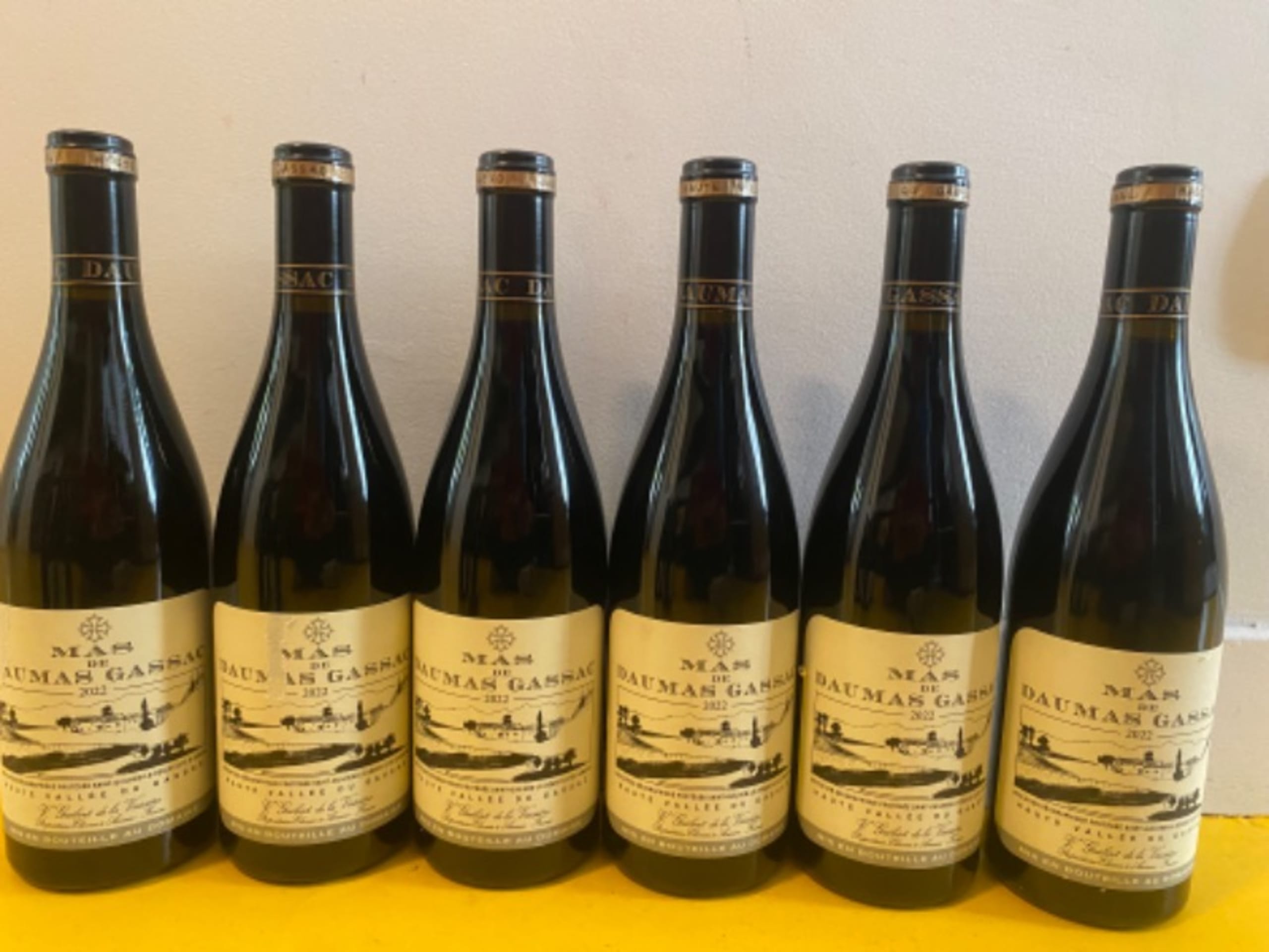 6 x Mas de Daumas Gassac, Vin de Pays de Saint-Guilhem le Désert, 2022