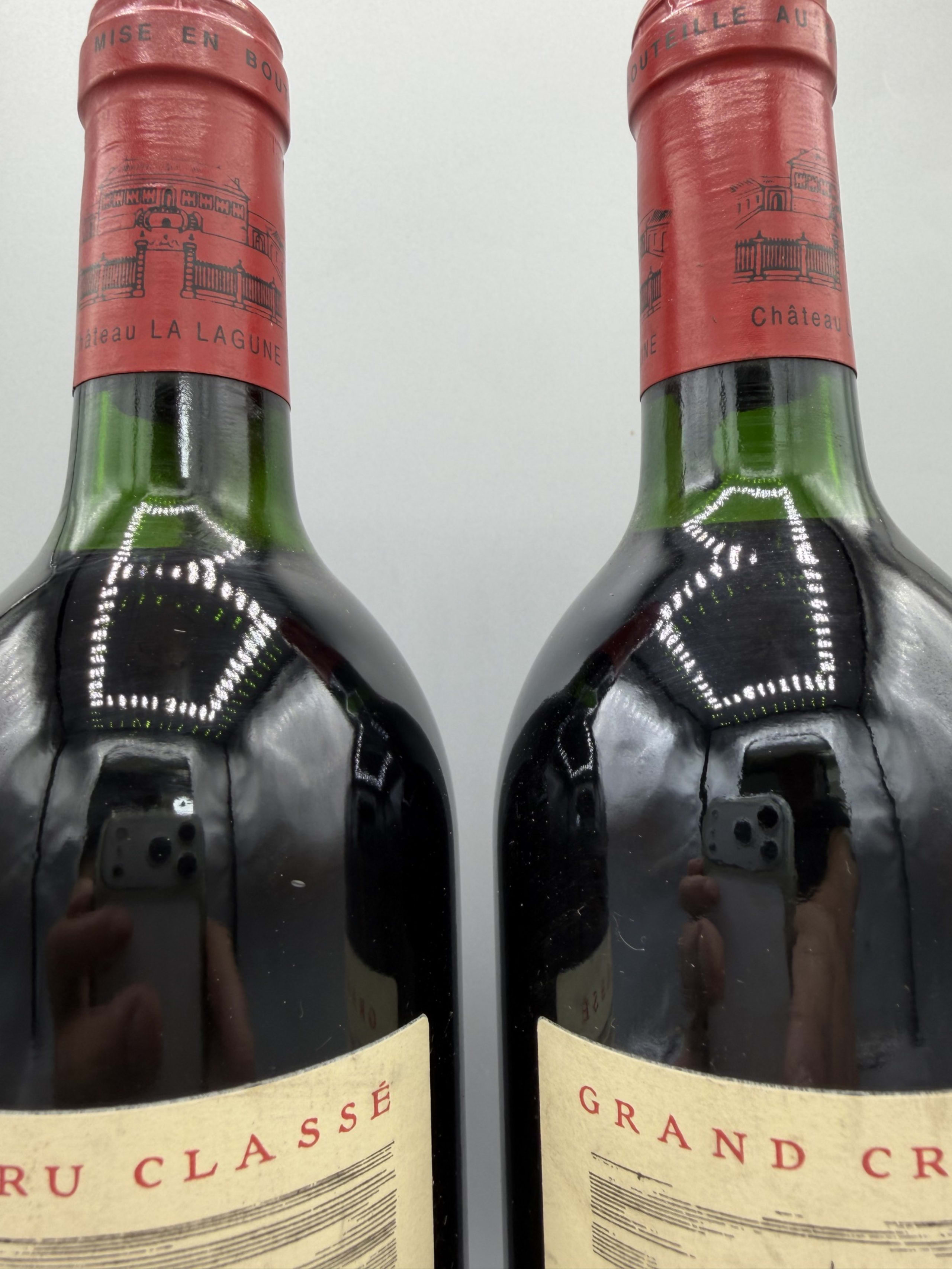 Wine Level