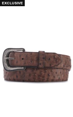 Cavender's Men's Chocolate Ostrich Print Western Belt