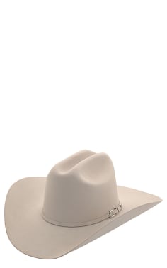 Stetson 6X Skyline Silverbelly Felt Cowboy Hat