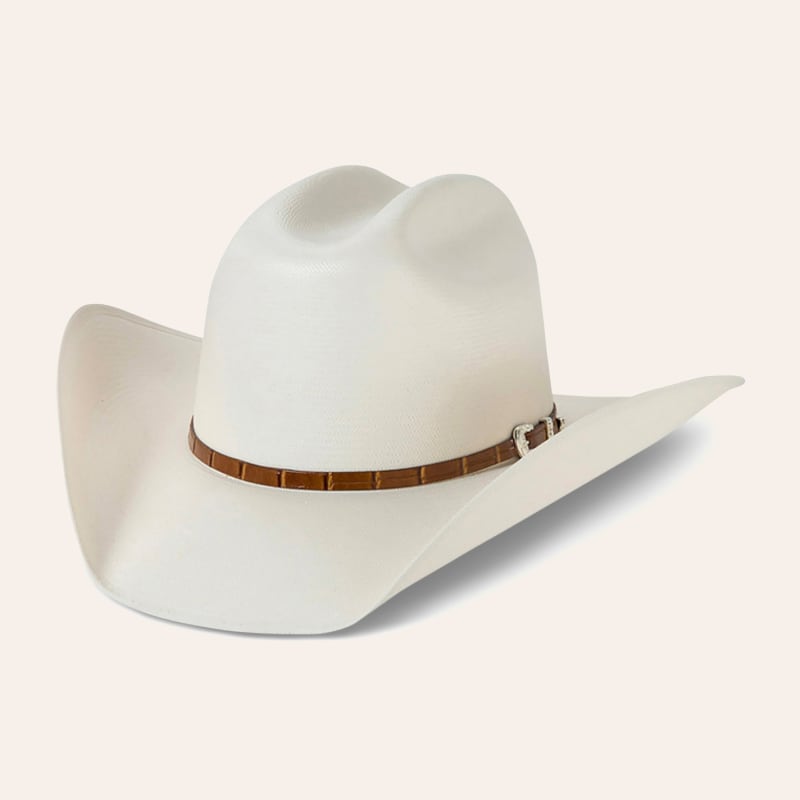 Stetson maximo 100x clearance
