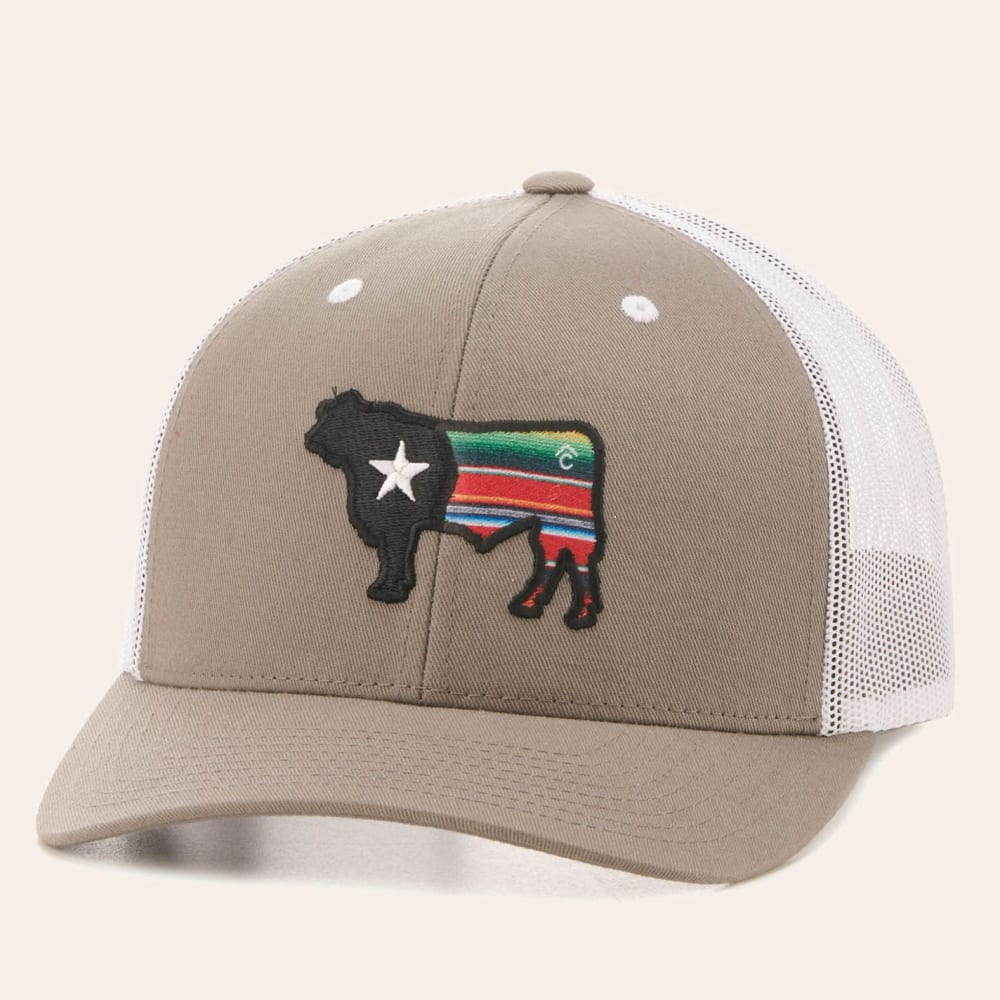Rafter C Men's Grey and White Mesh Serape Bull Cap