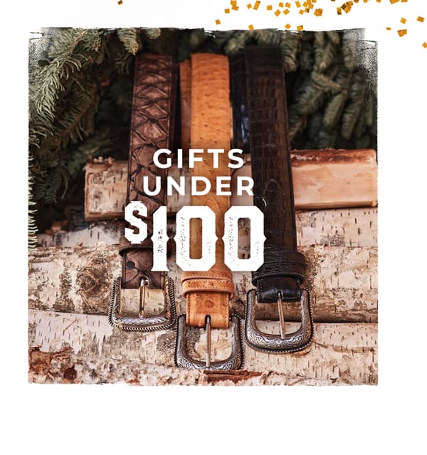 Shop Holiday Gifts Under $100