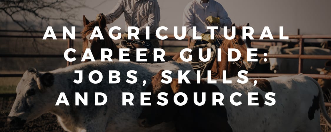 An Agricultural Career Guide: Jobs, Skills, and Resources