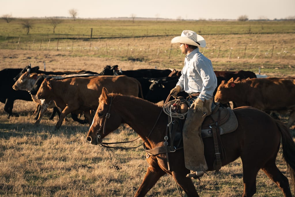 Image of a cowboy wearing a white cowboy hat, confidently riding a brown horse in a picturesque field. The cowboy exudes a sense of freedom and adventure against the backdrop of wide open spaces.