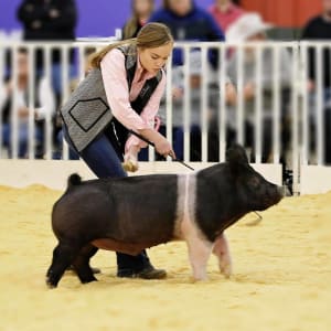 2020 Cavenders FFA and 4-H Scholarship Winners Announced