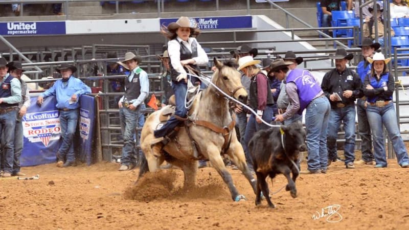Madison Davis is shown in action during a rodeo event, expertly roping a steer. The image captures the intensity and skill required in the sport, with Madison focused on her task. The surrounding rodeo environment emphasizes the competitive and lively atmosphere of the event.