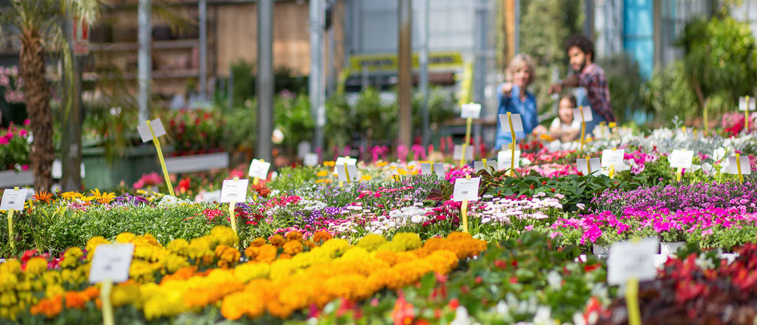 Greenwashing bij tuincentra 1440x720