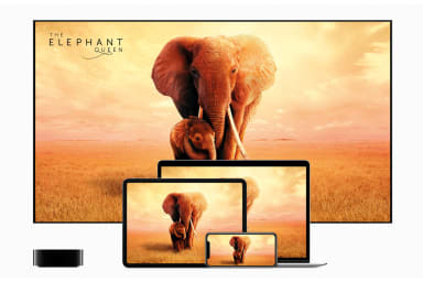 apple-tvplus-now-available-the-elephant-queen-11119