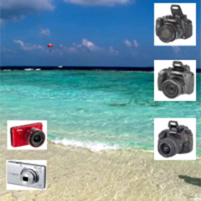 zomercameras