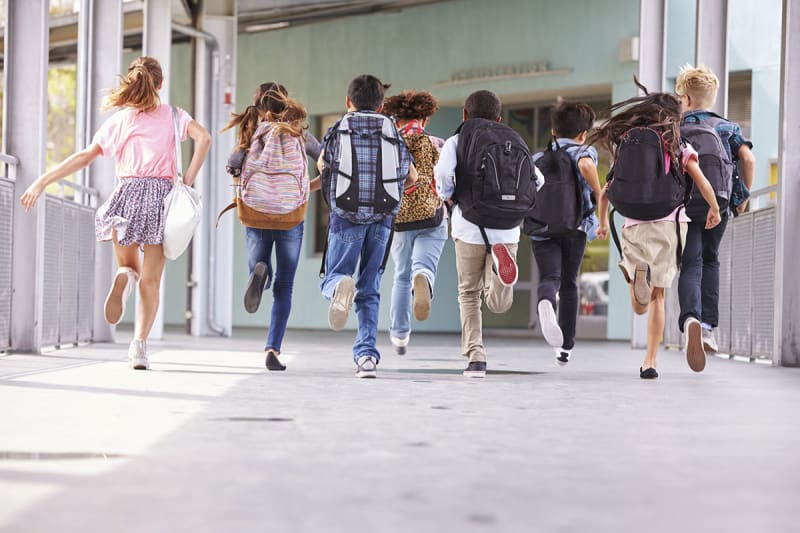 onderwijs geschillen rechtsbijstandverz