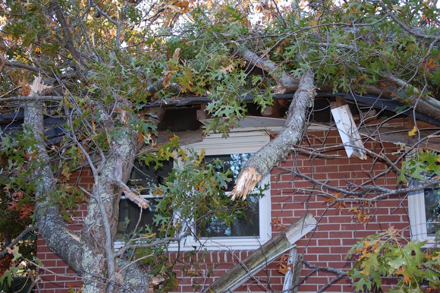 Gebruikstips_Stormenwaterschade