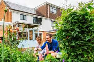 Subsidie zonnepanelen