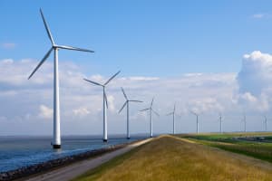 groenbeleggen-windmolens