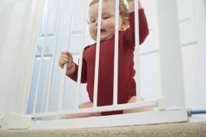 traphekje nieuwsbericht