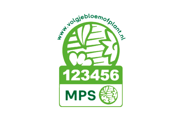 Logo volg je bloem of plant