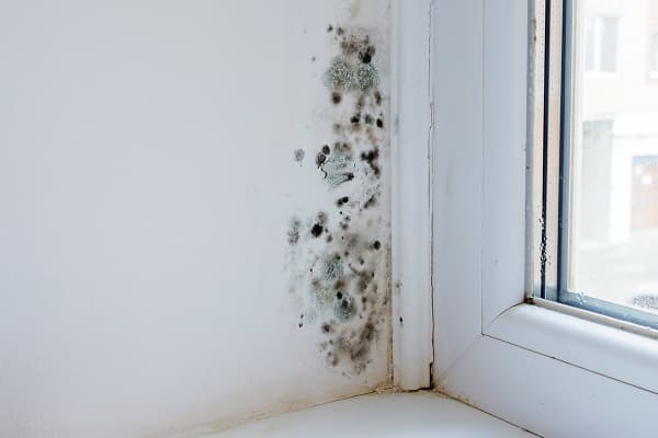 ventilatie-vochtproblemen-1-1200x800px