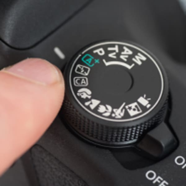 Fotocamera's highlight 3 - gemakkelijk in gebruik