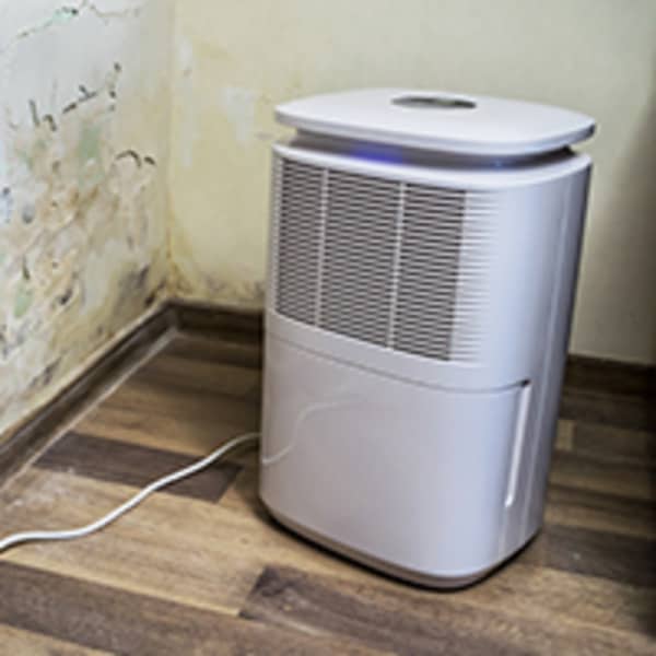 Highlight luchtontvochtiger kelder schuur 200x200