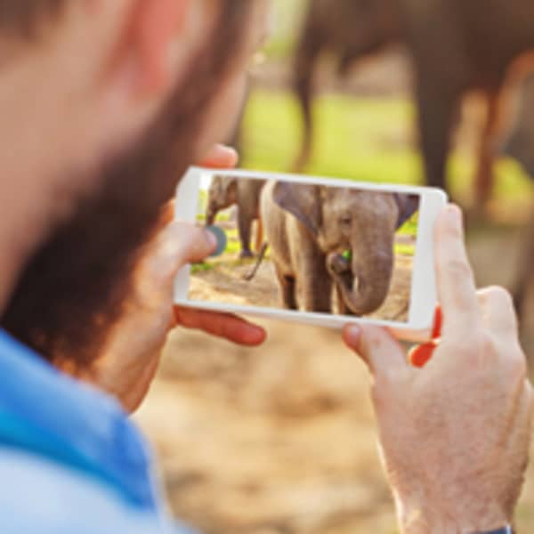 smartphone-highlights-2