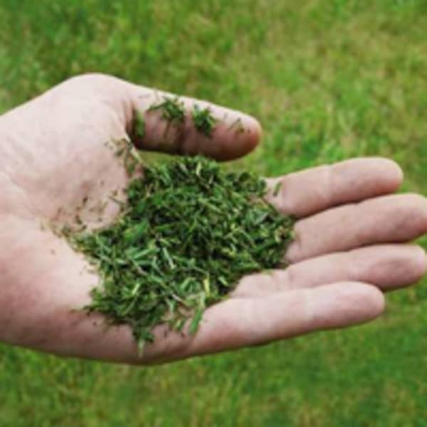 grasmaaiers met snoer-200x200-1-maaiprestaties