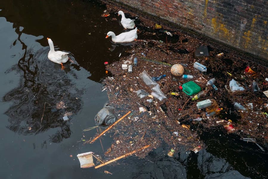 Wereldconsumentendag vervuiling microplastic