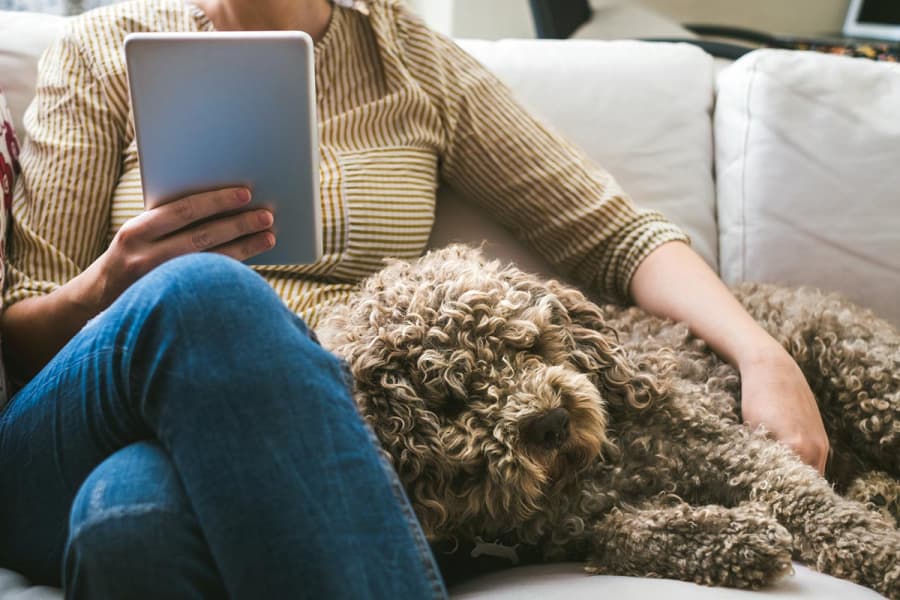 nieuwste-tablet-2018