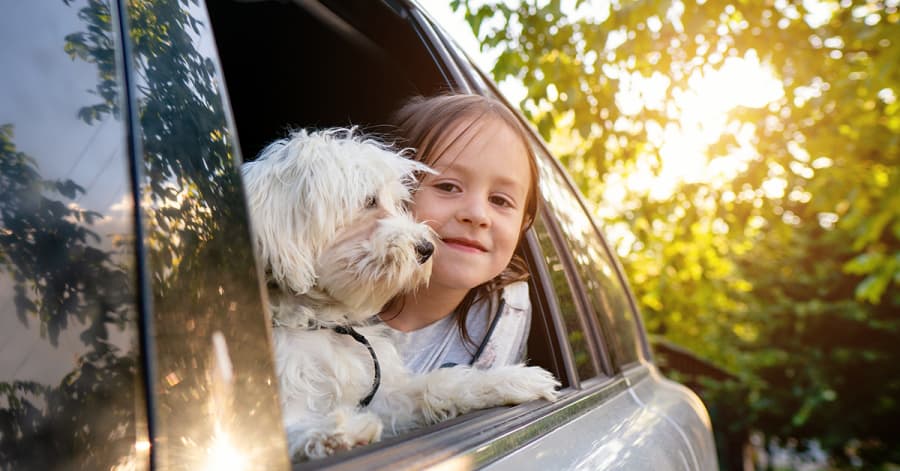 Header Autolease 1200x627