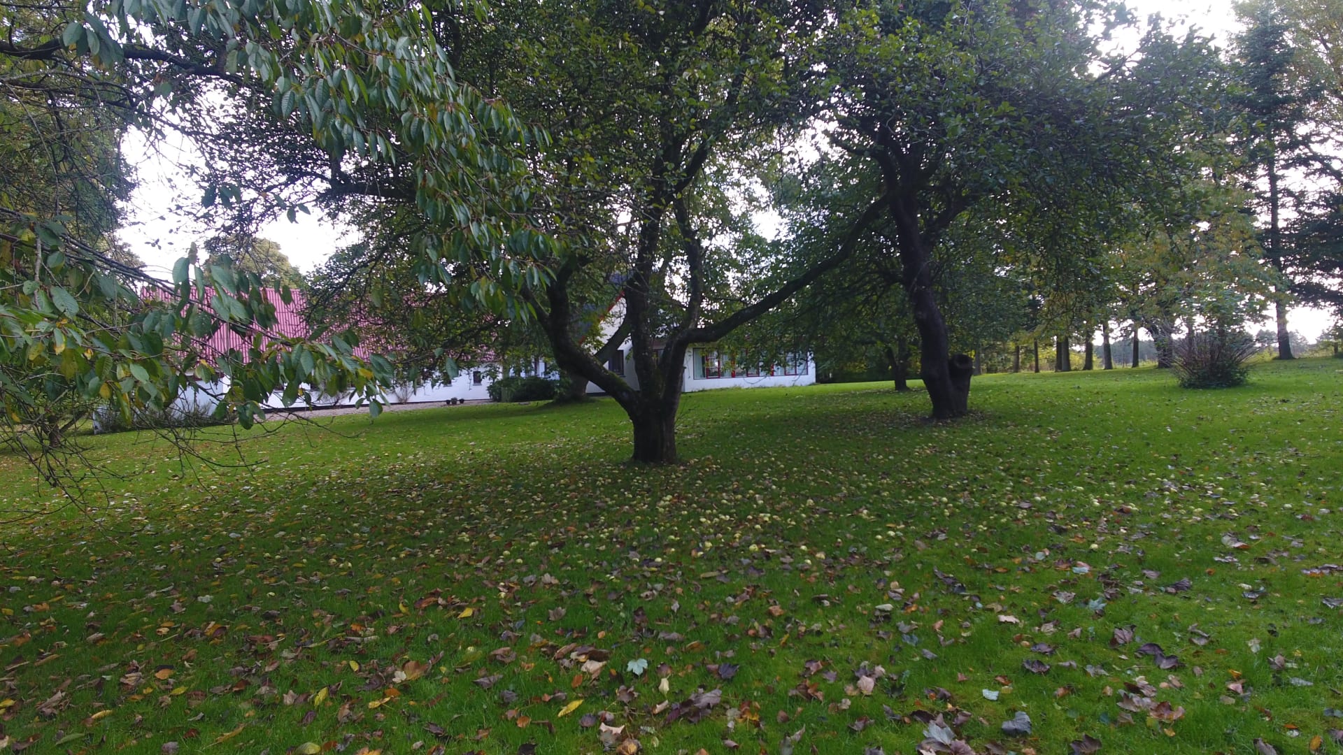 Fugleperspektiv af landstedet med omkringliggende natur