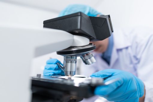 person looking at a microscope