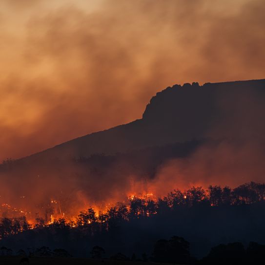 A wild rages in Tasmania, one of dozens of major fires to break out around the world in the last year