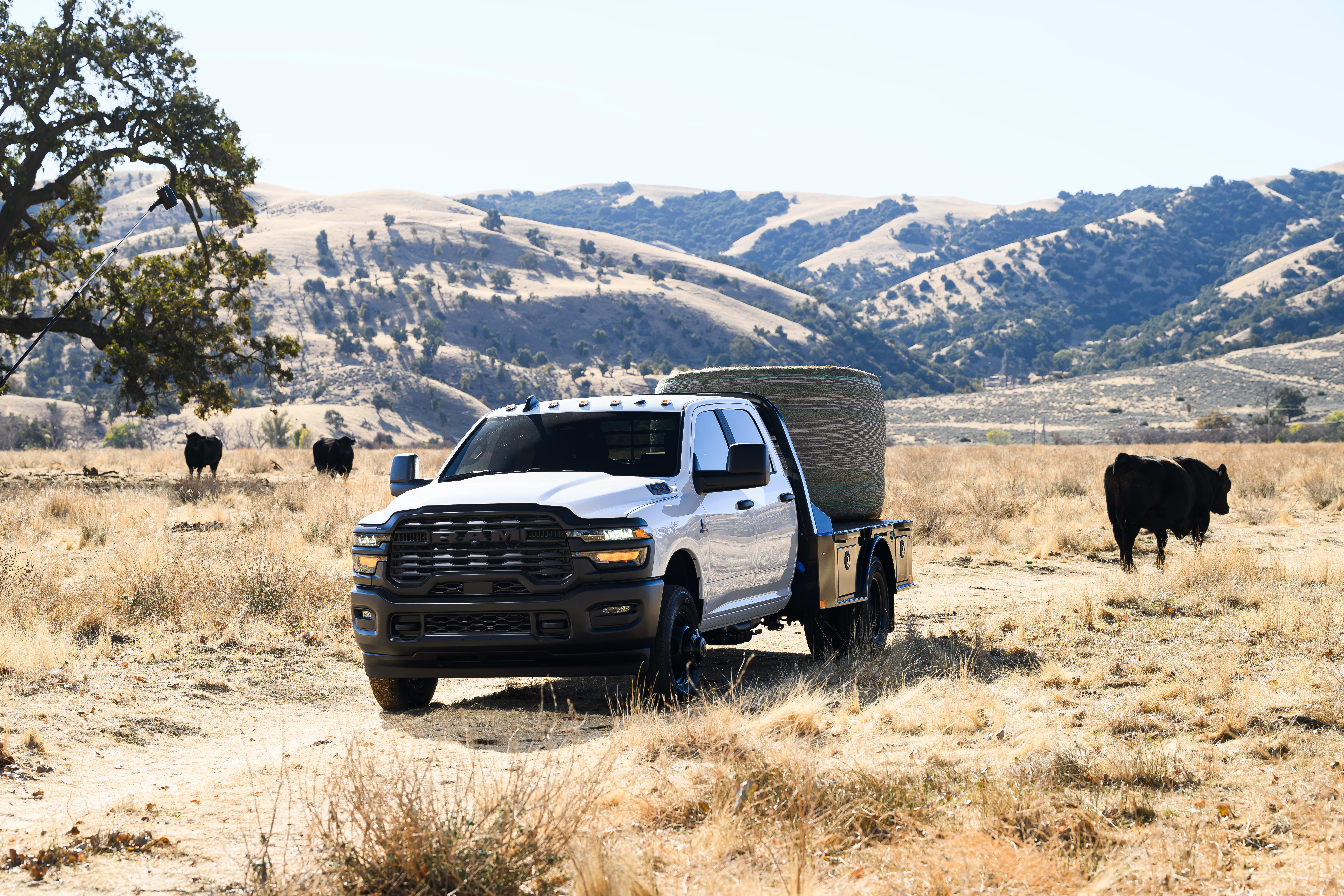 buying a used truck