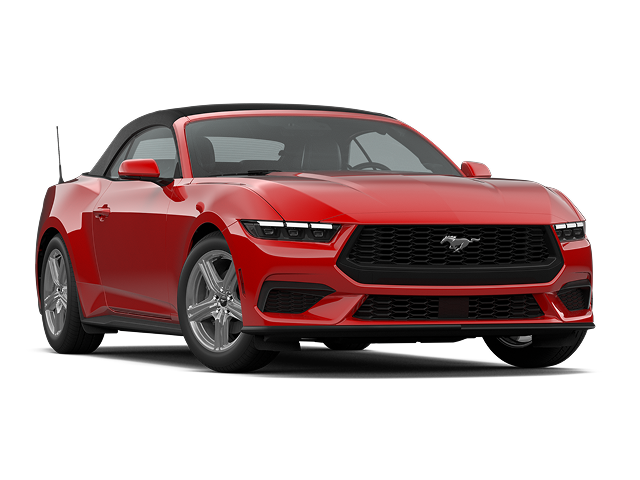 model-image