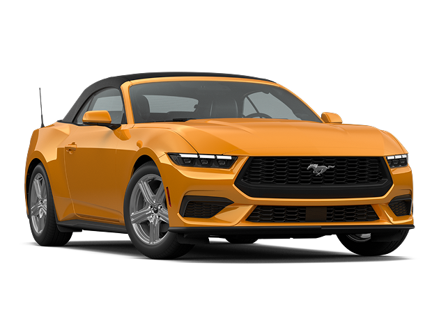 model-image