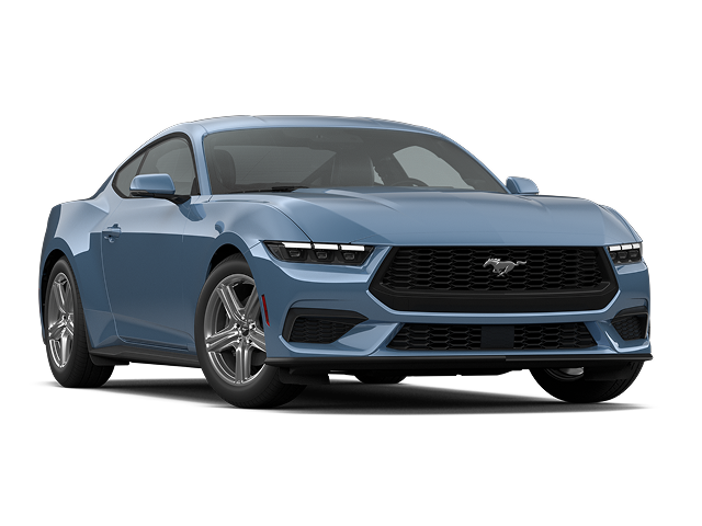 model-image