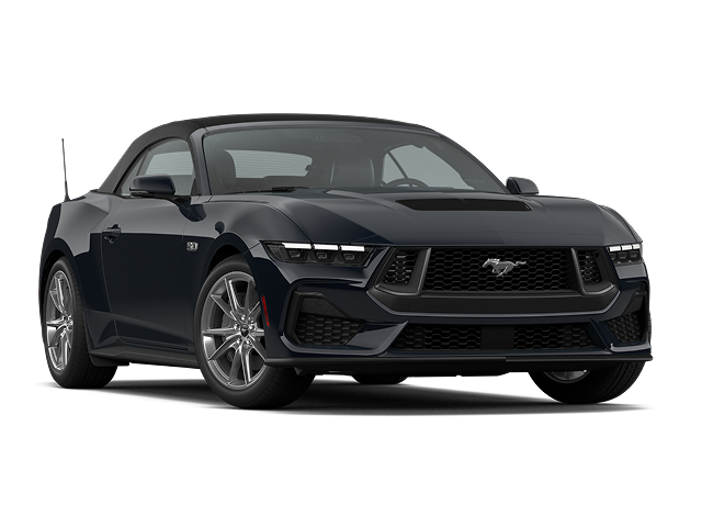 model-image