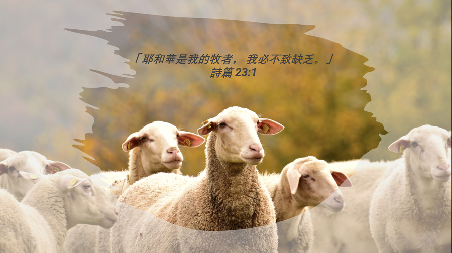 我的牧者 - 芝華宣道媒體網站