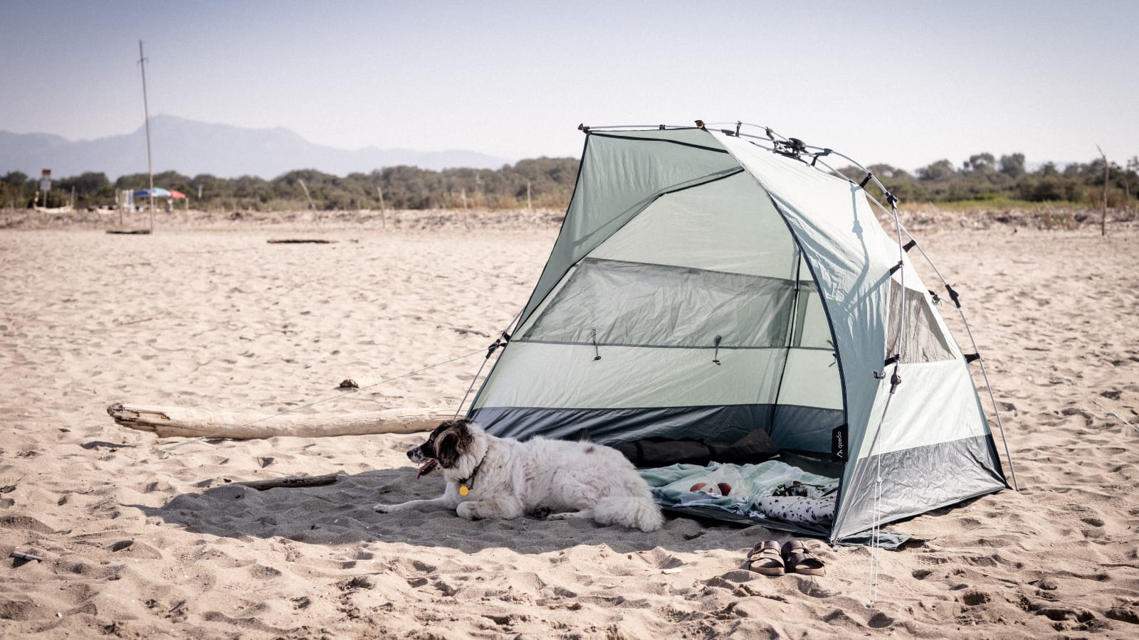 hund_liegt_in_qeedo_strandzelt_quick_bay_pro