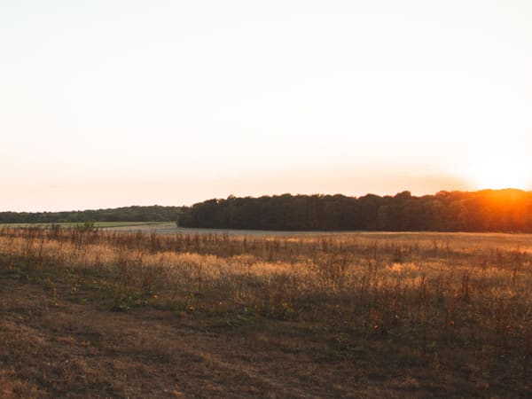 221014_story_AlpacaCamping_mobil1