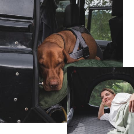 230517_QDO_DZ_Hund_Mobile_308x308_NR03_V01