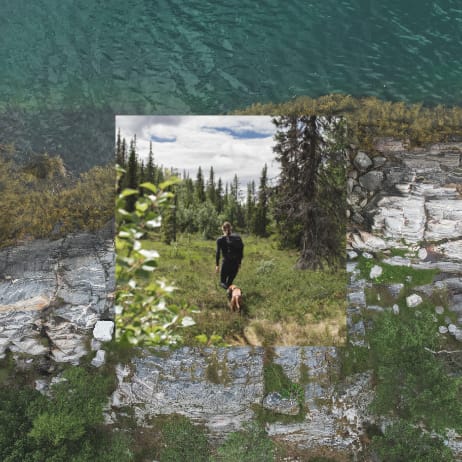 230517_QDO_DZ_Hund_Mobile_308x308_NR04_V01