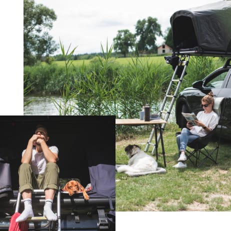 230517_QDO_DZ_Hund_Mobile_308x308_NR08_V01