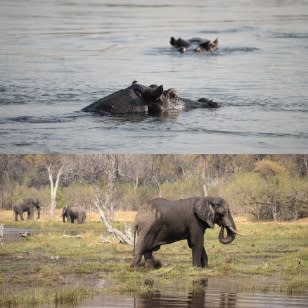 231122_QDO_Story_Botswana_Namibia_Reise_Mobile_V01_NR07