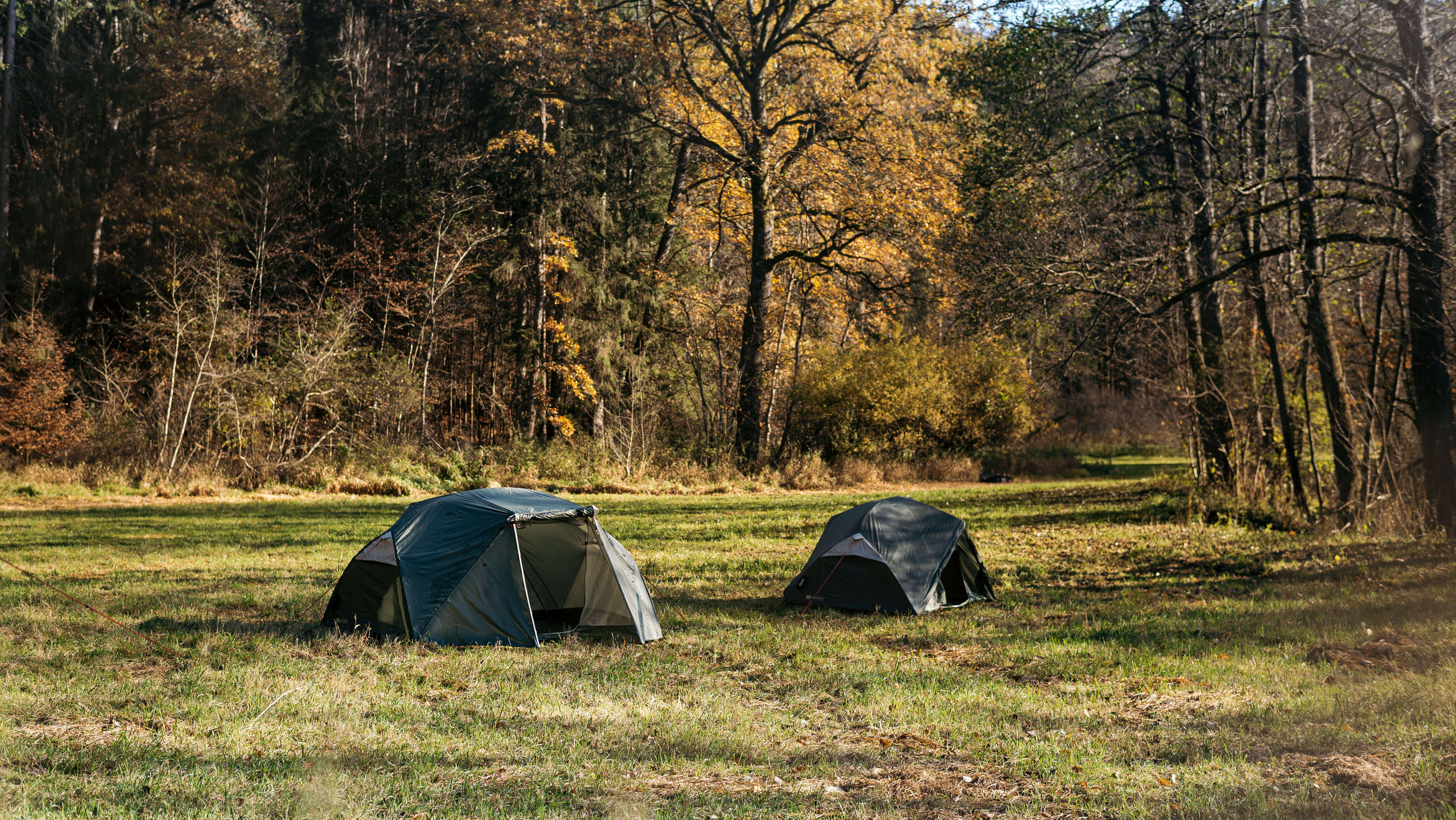 06_Light_Birch_Varianten_NR01_Desktop_Mobile