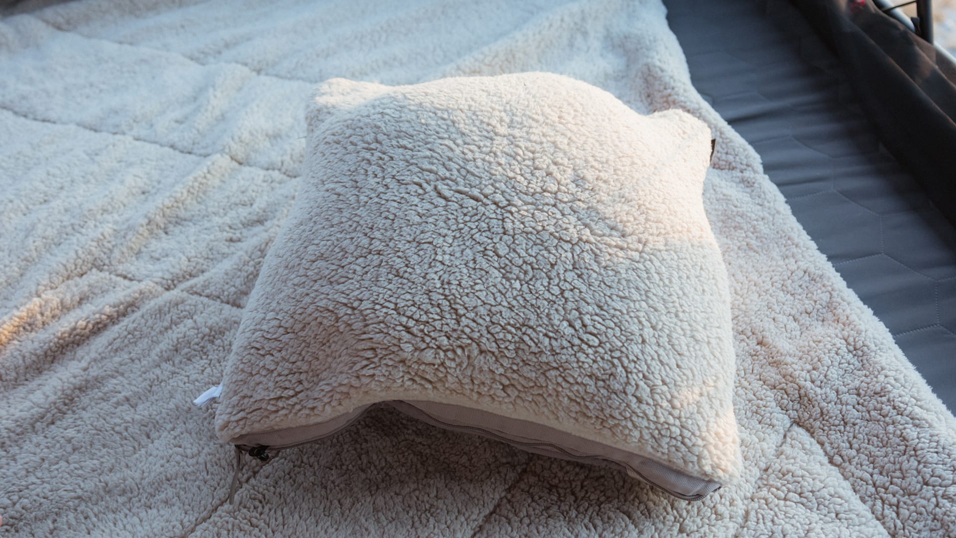 250424_QDO_Teddy_PDS_4x5_V01_N014