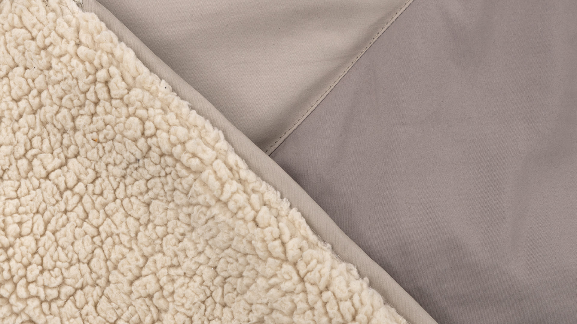 250424_QDO_Teddy_PDS_4x5_V01_N09