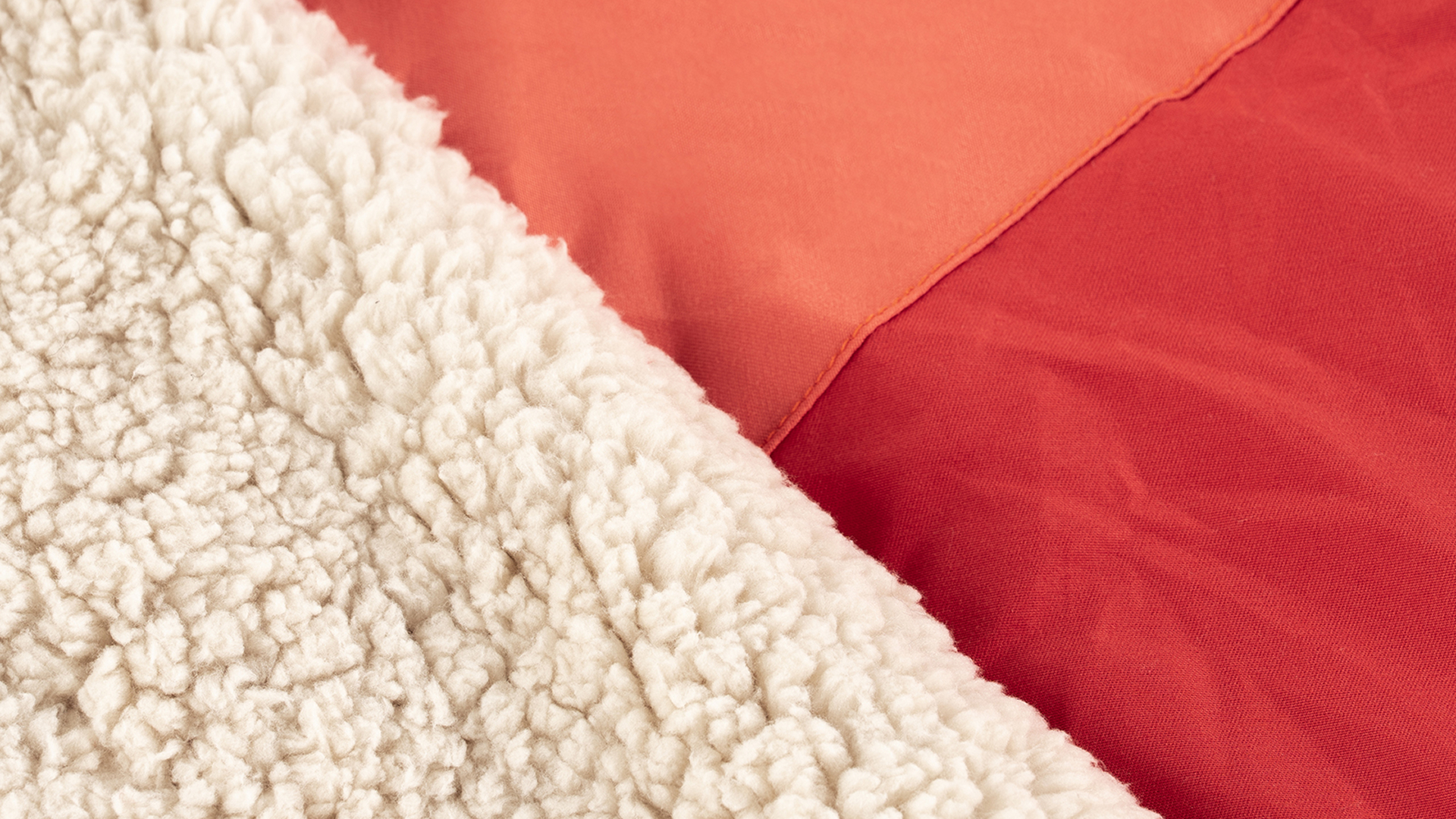 Teddy_Closeup_Coralred