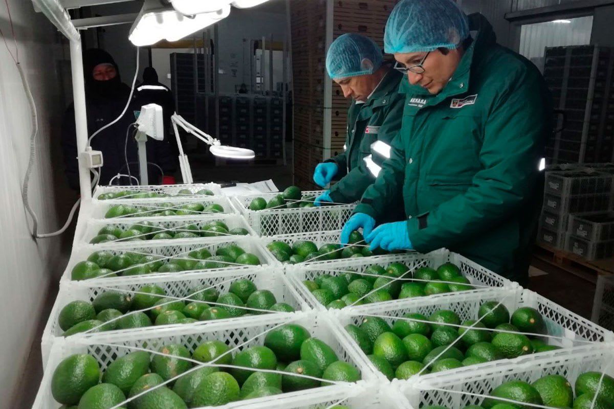 Agroexportación