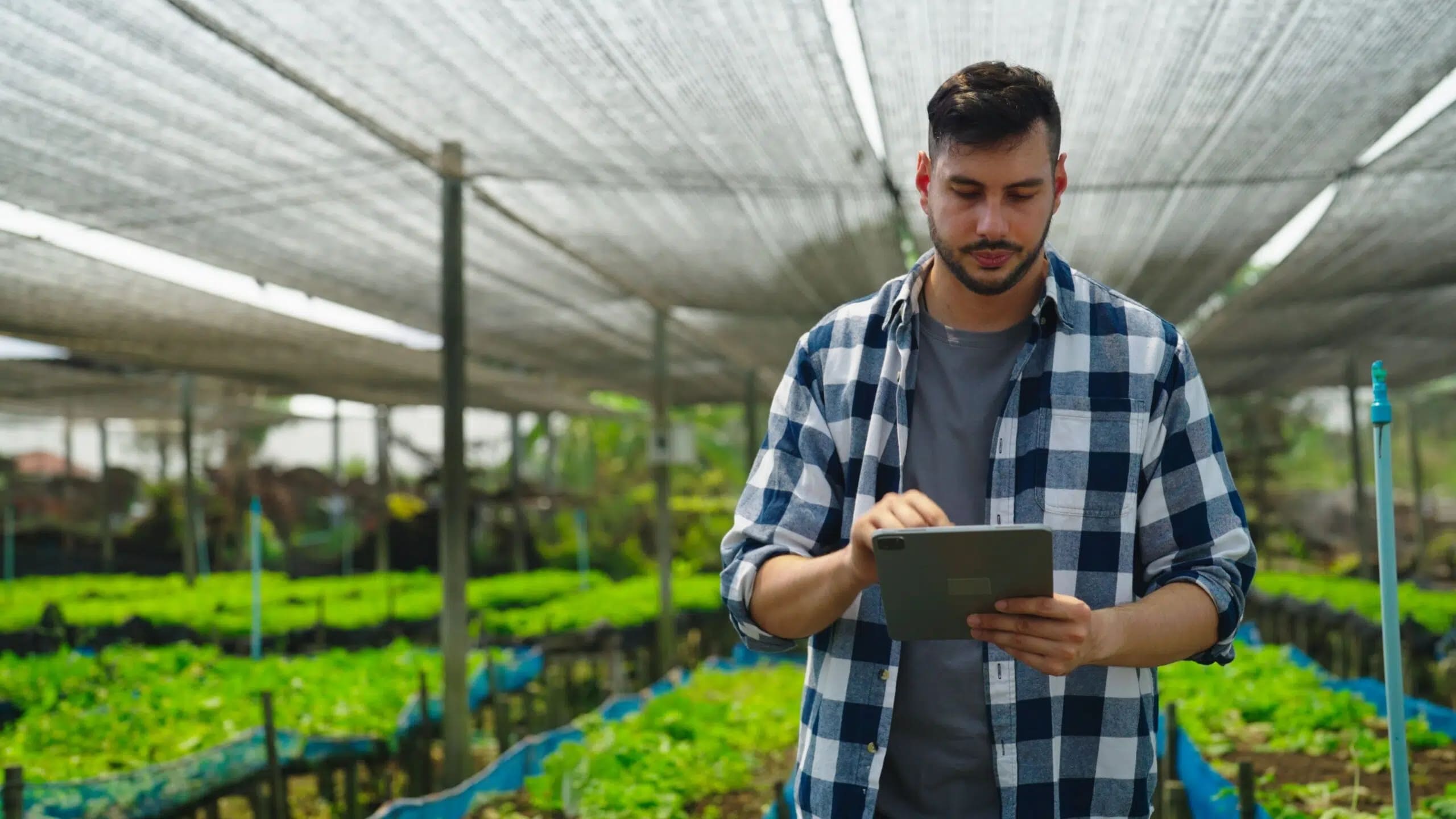Estudios de impactos de proyectos agroexportables